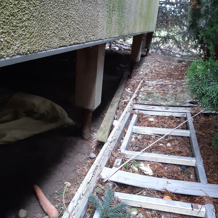 Gołębnik ocieplony gołębie