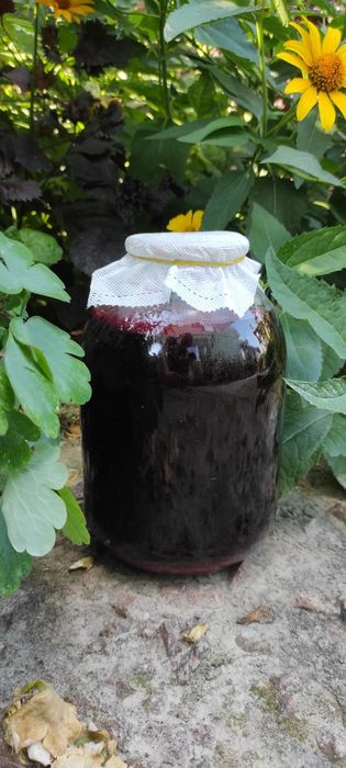 Домашній яблучний оцет. Домашний яблочный уксус.домашній оцет.ягідний.