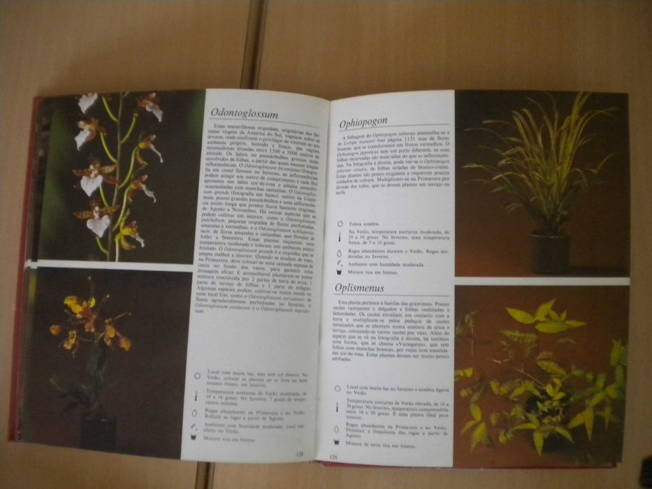 O Livro das Plantas
de Rob Herwig e Claude Riou