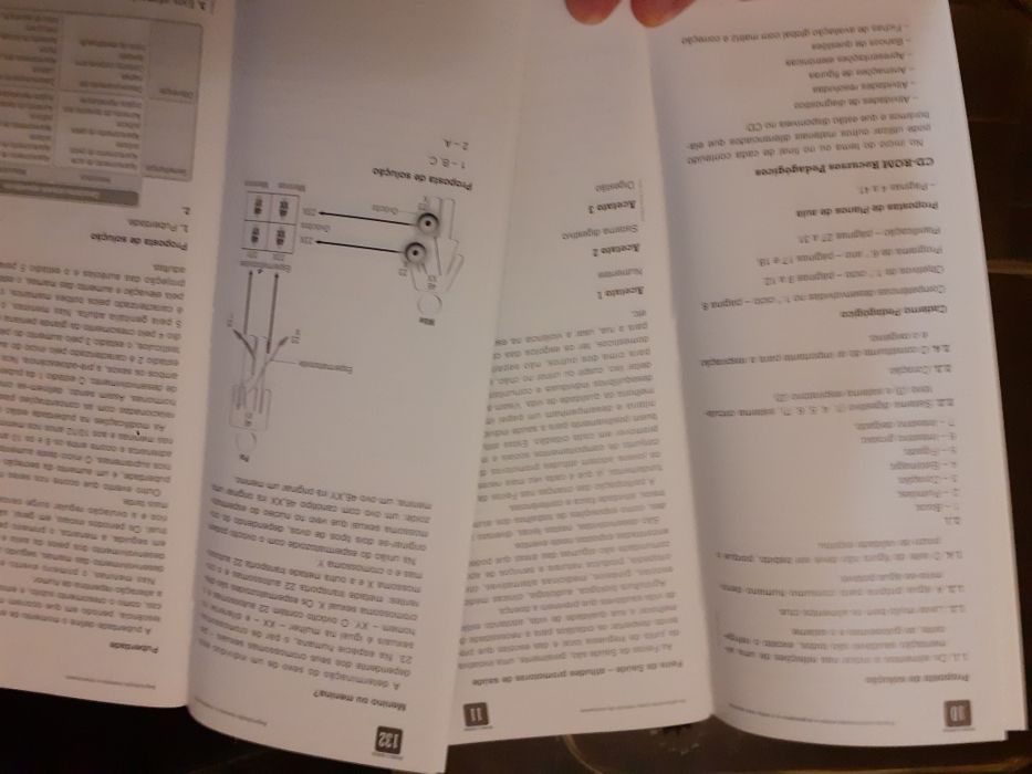Caderno Atividades e manual VIVA A TERRA Ciências 5º