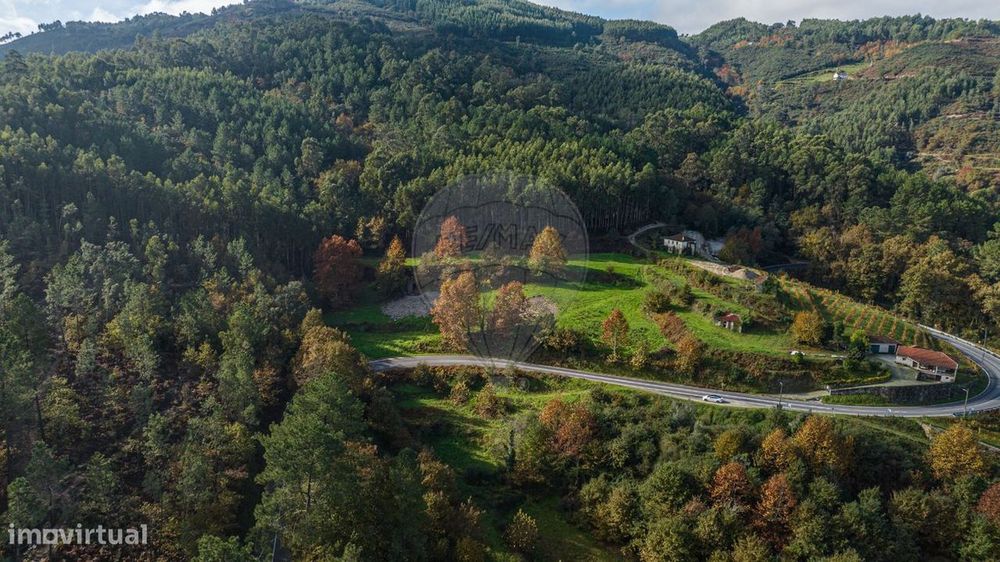 Quinta T0 para venda — Ribas, Braga