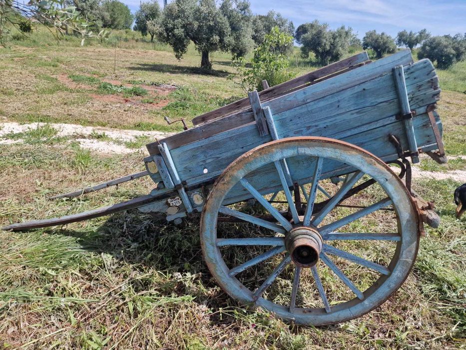 Carroça para cavalos, charrete
