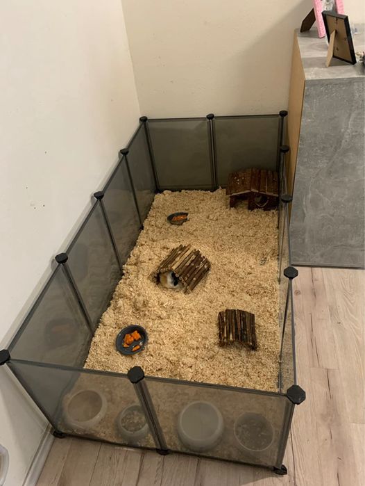 Klatka hodowlana NOWA kojec zagroda wybieg dla królika chomika świnki