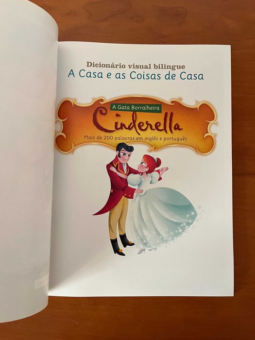 Livros / Dicionários Ilustrados de Inglês