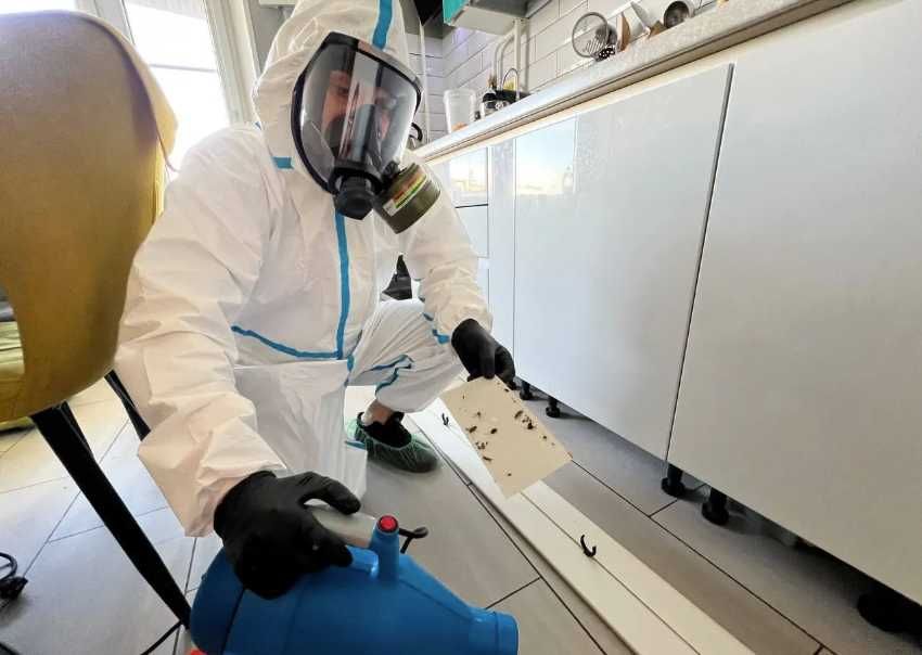 Травля клопов и тараканов санитарная обработка помещений