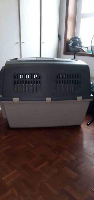 Caixa de Transporte Extra Grande (IATA) – até 50Kg