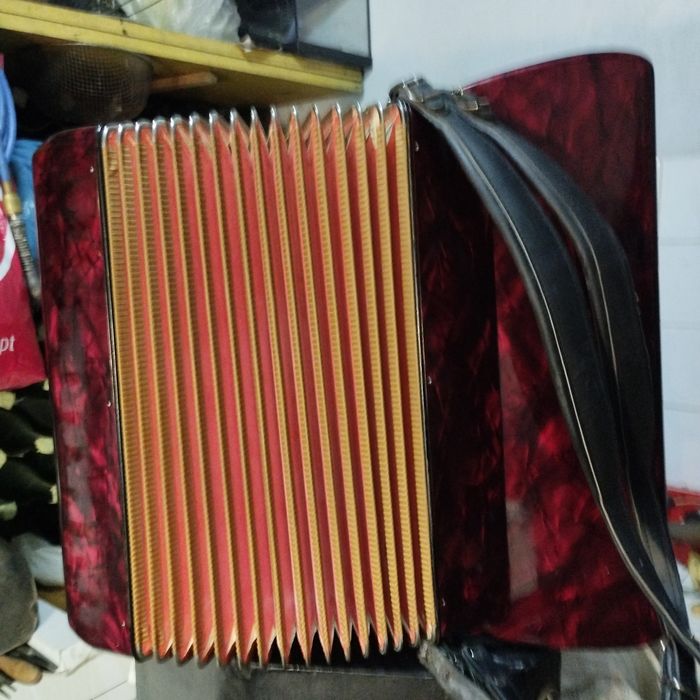 Acordeão para venda