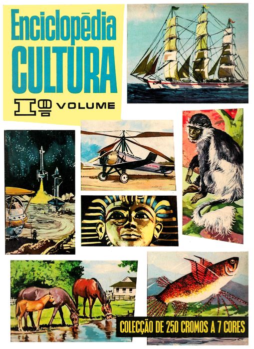 Cadernetas Enciclopédia Cultura Volume 1º/ 2º completas e cromos