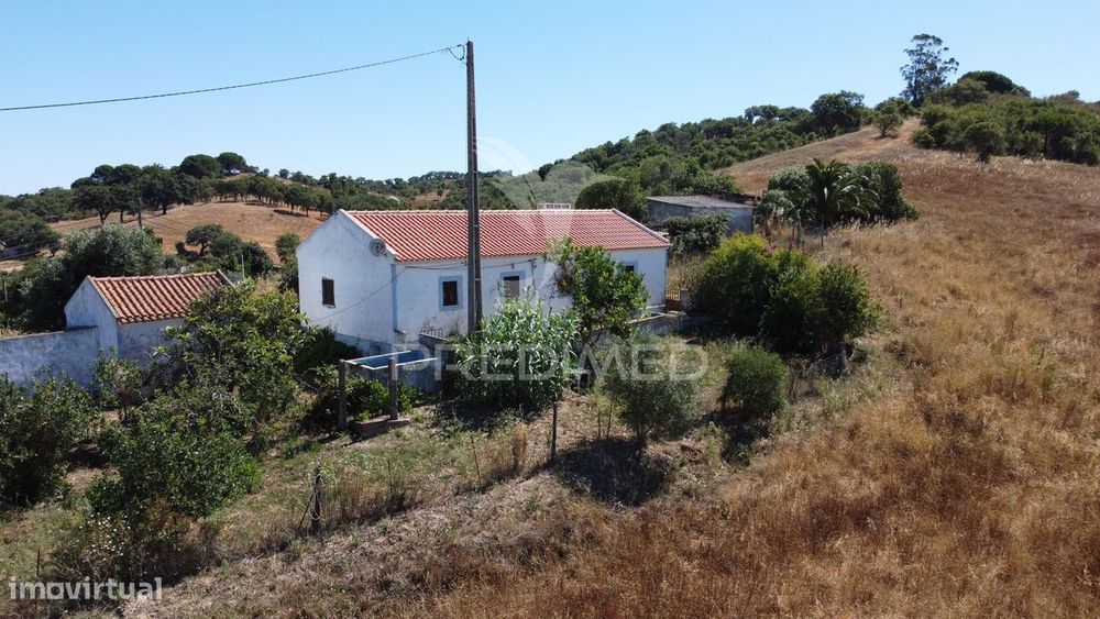 Quinta com Habitação e Terreno de 2,89 Hectares, Odemira