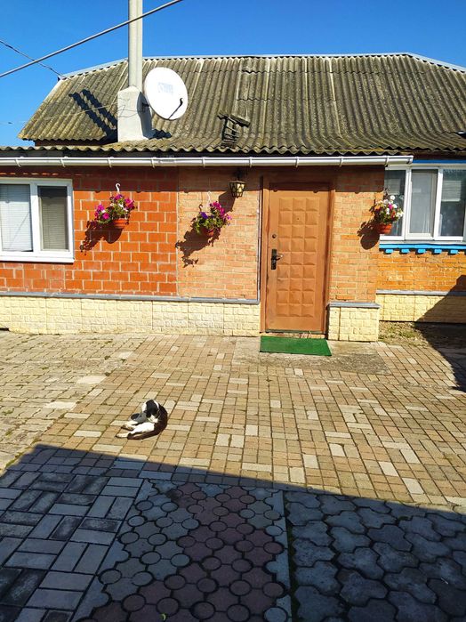 Продаж будинку село Софіївка Сумского района