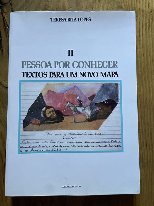Livro de Teresa Rita Lopes pessoa por conhecer Textos para um novo Map