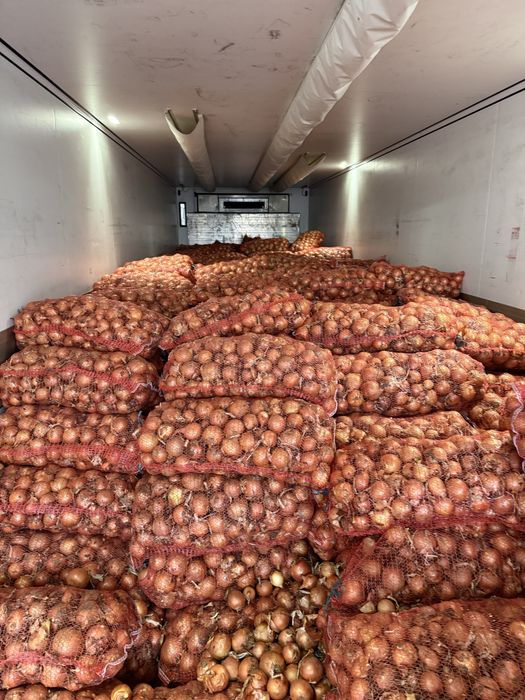 Продам Лук (цибуля)