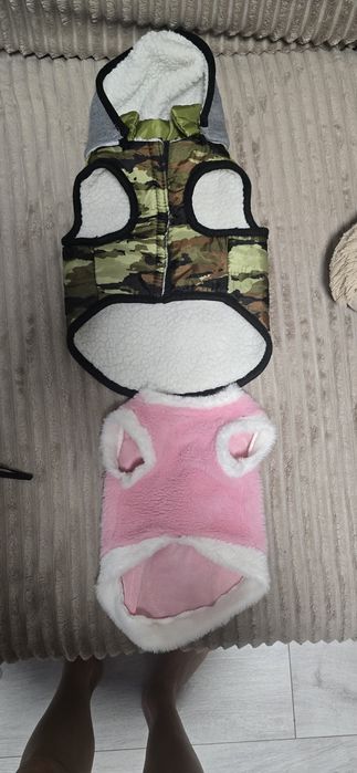 Одяг для собак, котів