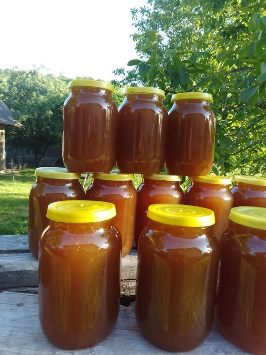 Мед зібраний в Карпатському регіоні 2025 року