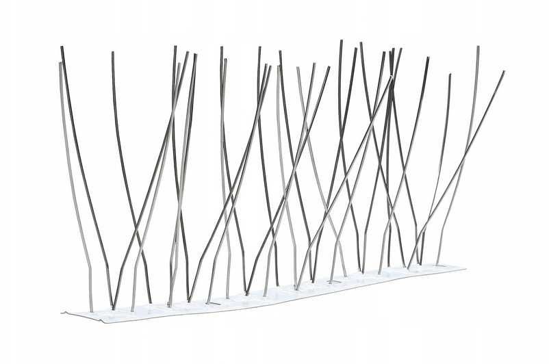 Kolce przeciwko ptakom