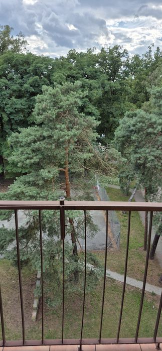 Mieszkanie 44 m2  Jasien 2 Pokoje kuchnia  Łazienka