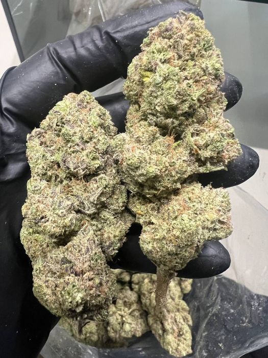 Susz cbd PREMIUM 1:1