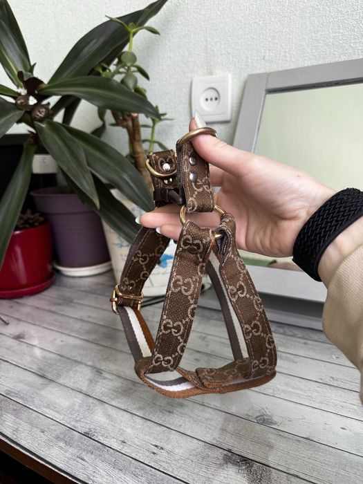 Шлея для собак с монограмой