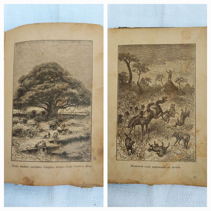 Книга 1895 г. Старинная Антикварная Раритет