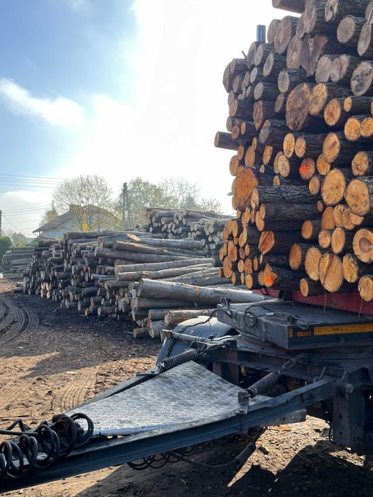 Drewno wałki 2,5m DĄB BUK OLCHA BRZOZA drewno kominkowe kłody stosowe