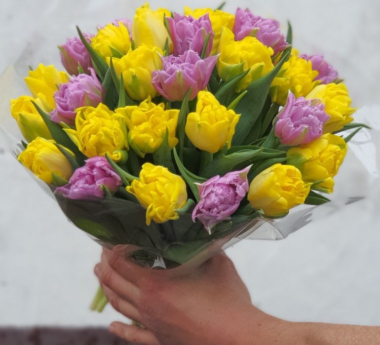 Тюльпаны!!! 51шт, 101шт,201шт,тюльпани,цветы,букеты,букети,квіти, тюль