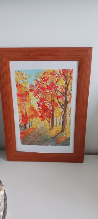 Quadros com molduras. Preço desde 18€