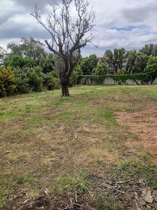 Limpeza de Terrenos | Rápido, Seguro e Sem Queimas | Coimbra/Condeixa