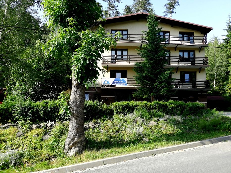 Niezapominajka noclegi