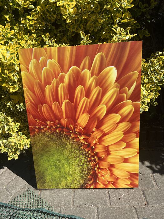 Obraz na plotnie 60 x 80