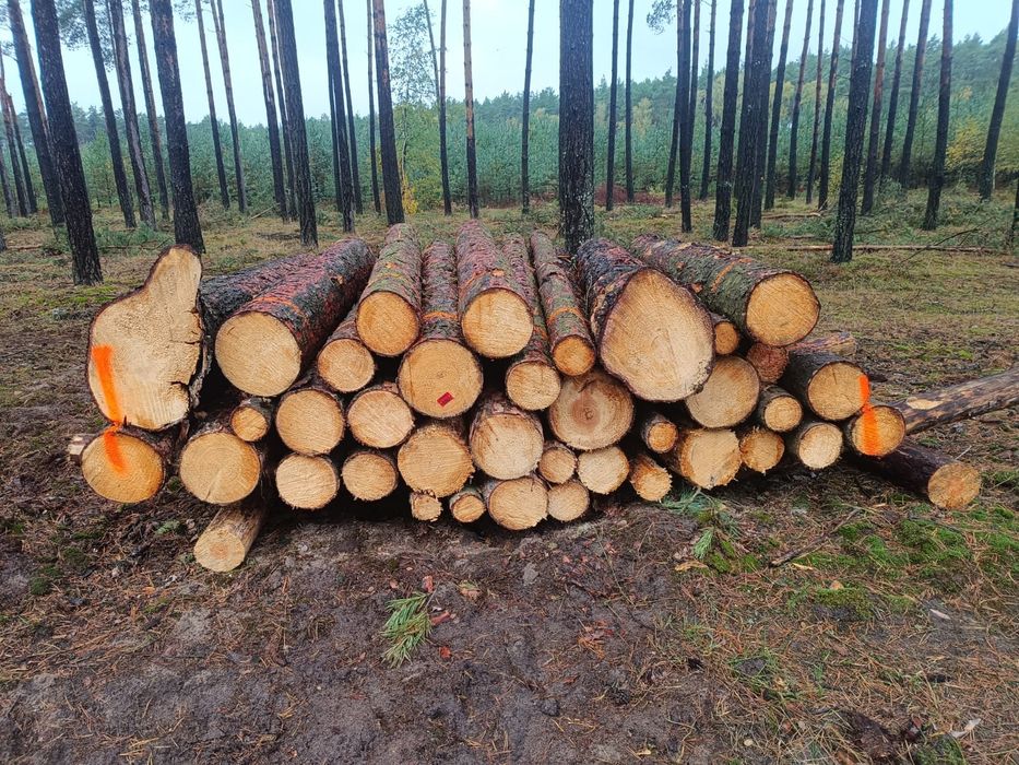 Drewno opalowe w walkach