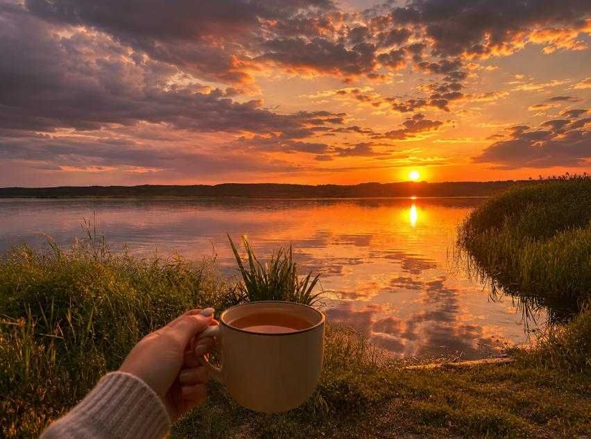 ЗЕМЕЛЬНА ДІЛЯНКА біля Києва з виходом на річку на воду вихід до Дніпра  12 сот. біля води  50 хв від Києва недорого краєвид Бориспільський рн