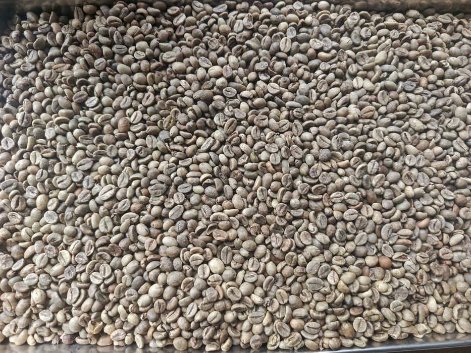 Kawa zielona arabika 4 kg