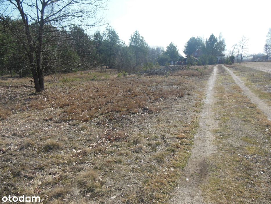 Działka 7696 m² z mediami w spokojnej okolicy - Widok 2