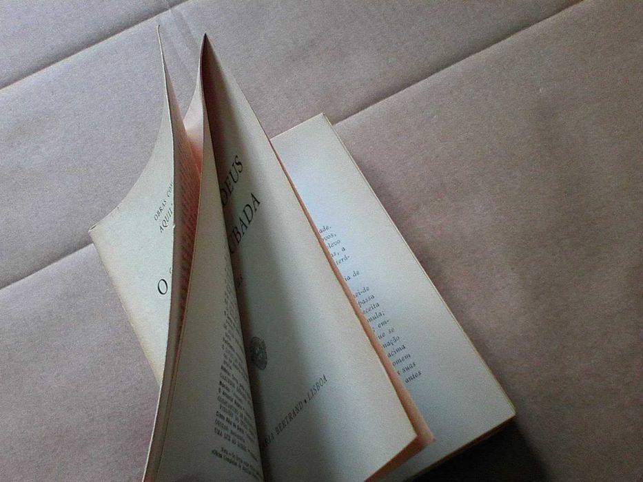 O servo de Deus e A casa roubada