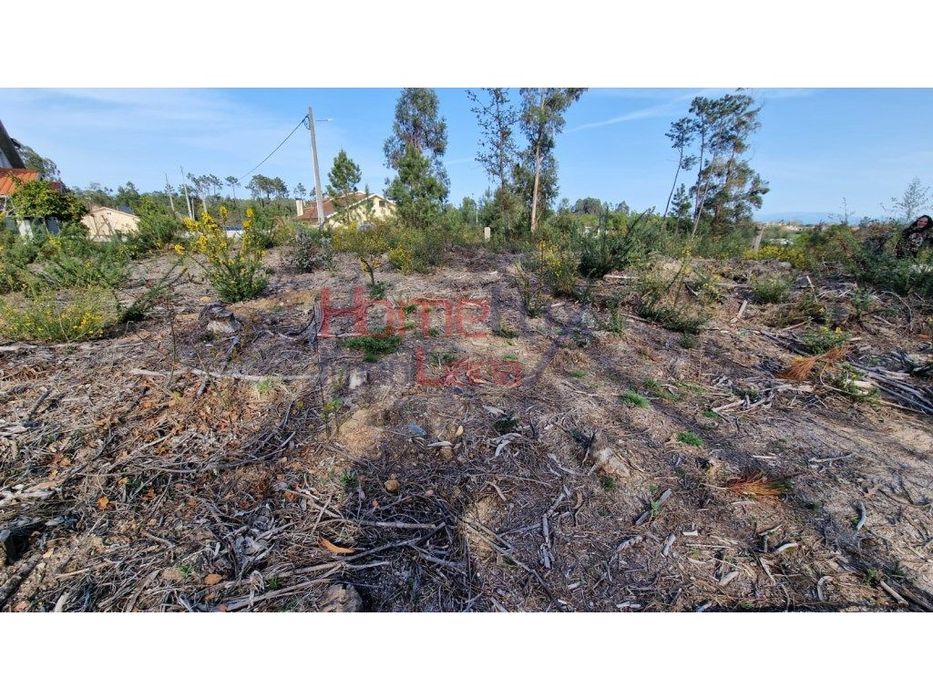 Terreno Rústico para venda em Coelhoso