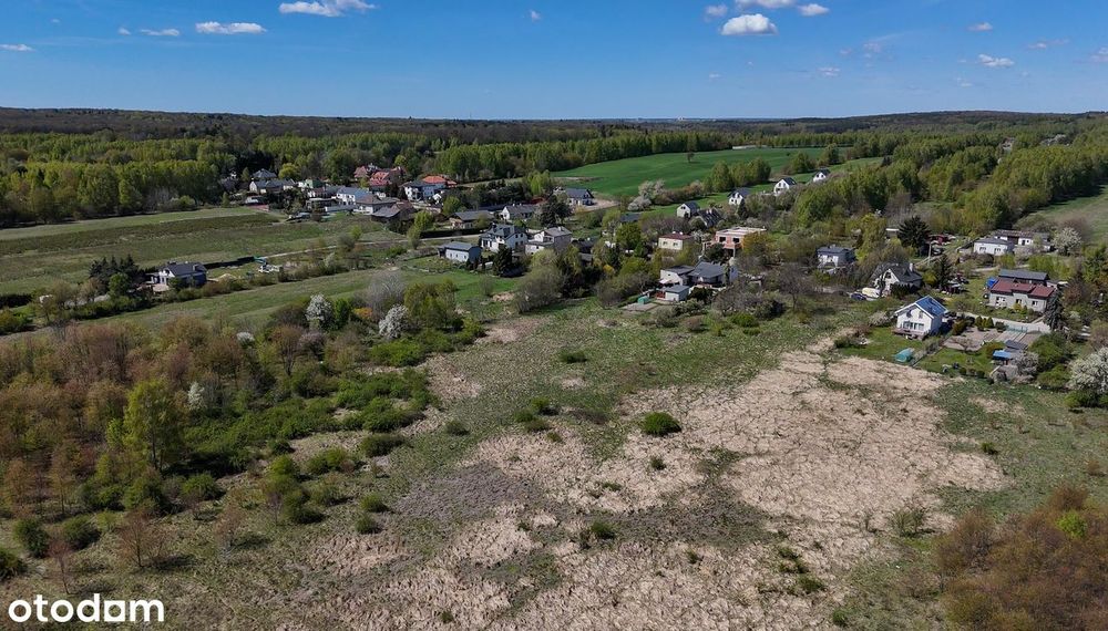 8 279 m² w zielonej okolicy :) - Widok 6
