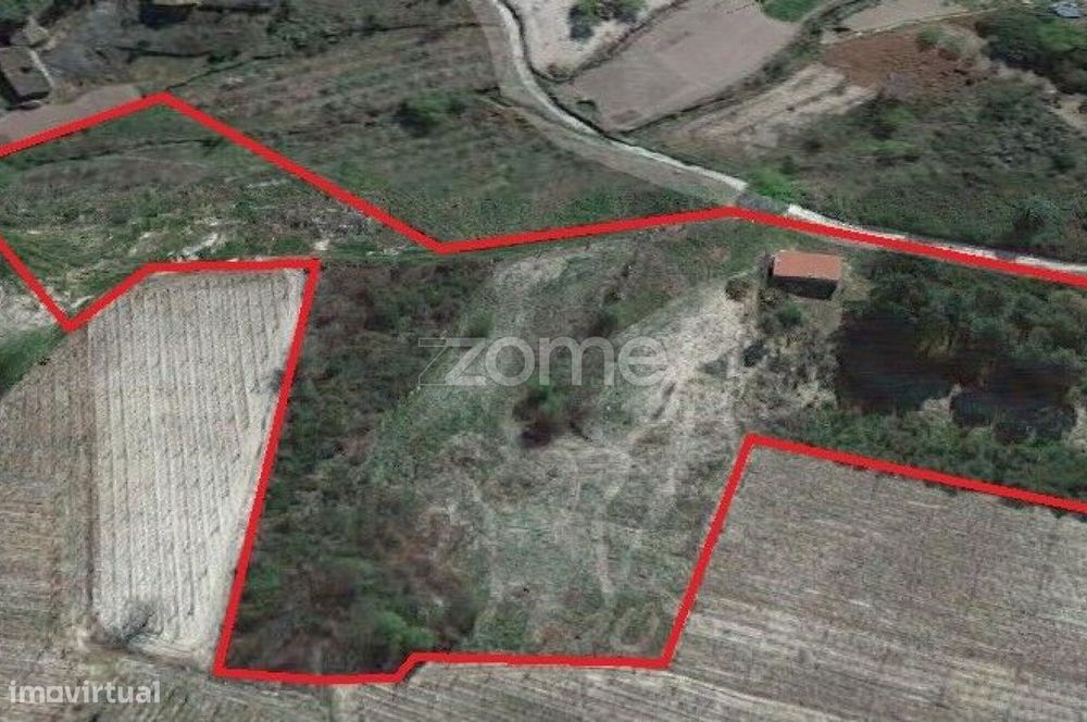 Terreno Rústico com 3.500 m² no Alto Douro Vinhateiro