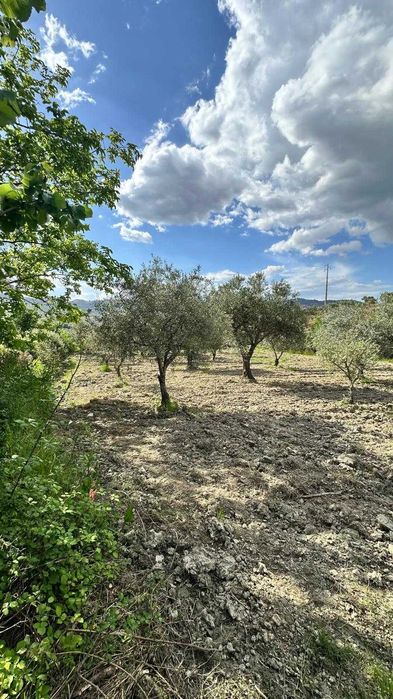 Terreno Rústico 4.392 m² – Eiras do Lagar, Vilarelhos (Alfândega da Fé)
