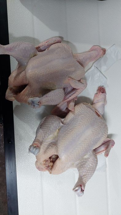 Gotowe tuszki blojlera