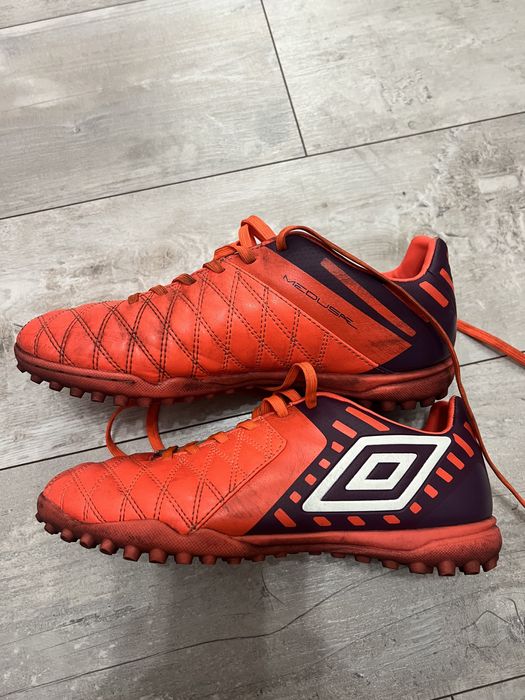 Сороконіжки umbro medusae