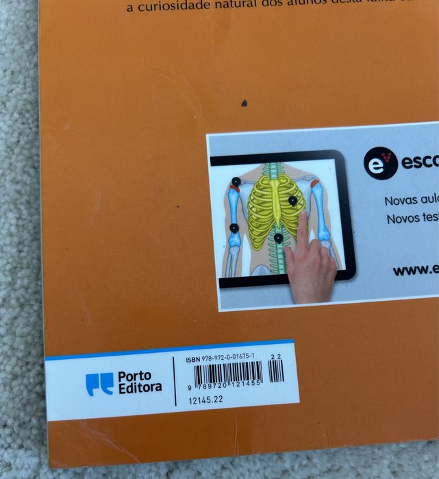 A historia no estudo do meio 4.ano