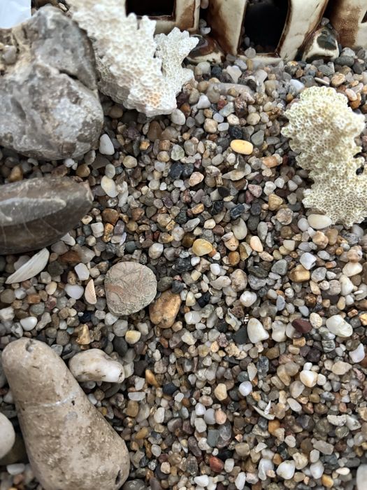 Акваріумний гравій