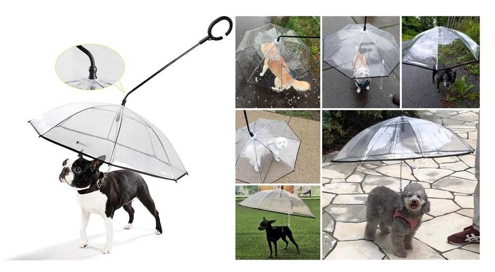 Namsan Guarda-Chuva para cães com correia