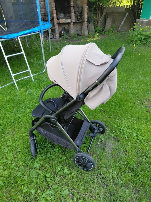 Cattello up to 3 kg