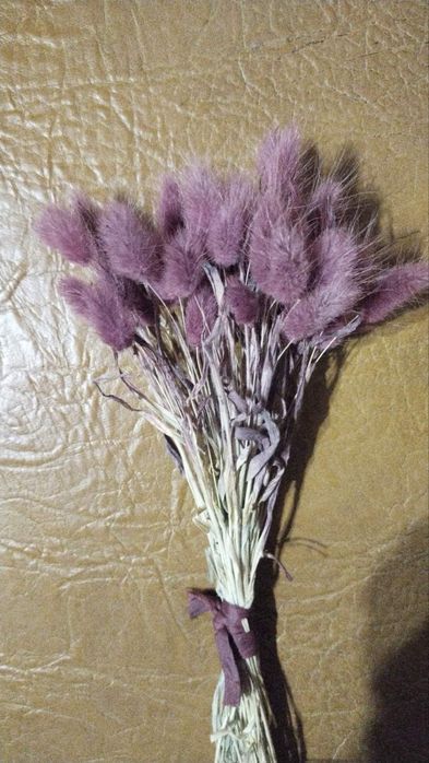 Декоративний лагурус в букети  декор