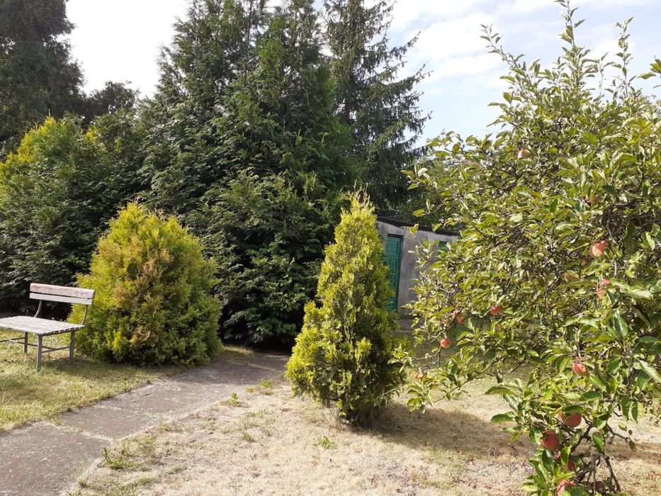 Dom 35 km od Warszawy