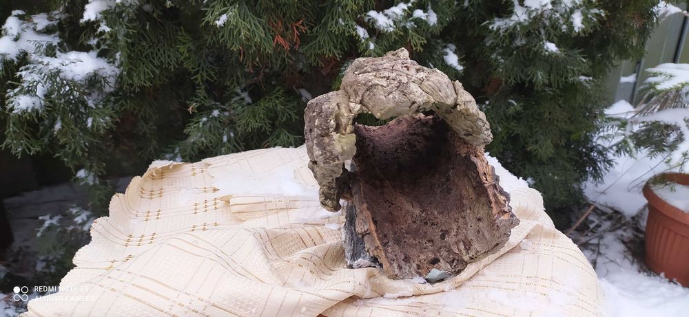 Grota z debu korkowego do terrarium