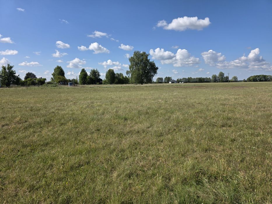 Działka budowlana  Brzoza - Olimpin
