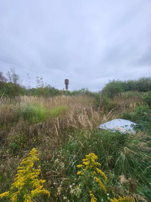 Продаж ферм. господарства 500 м.кв.