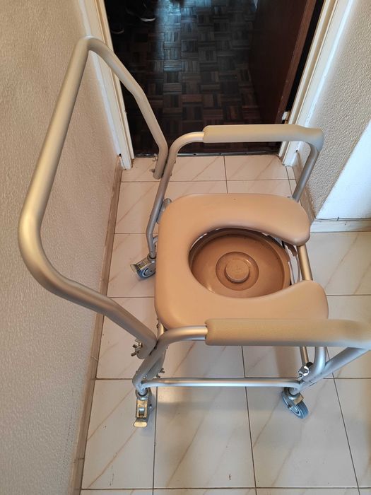 Cadeira sanitaria